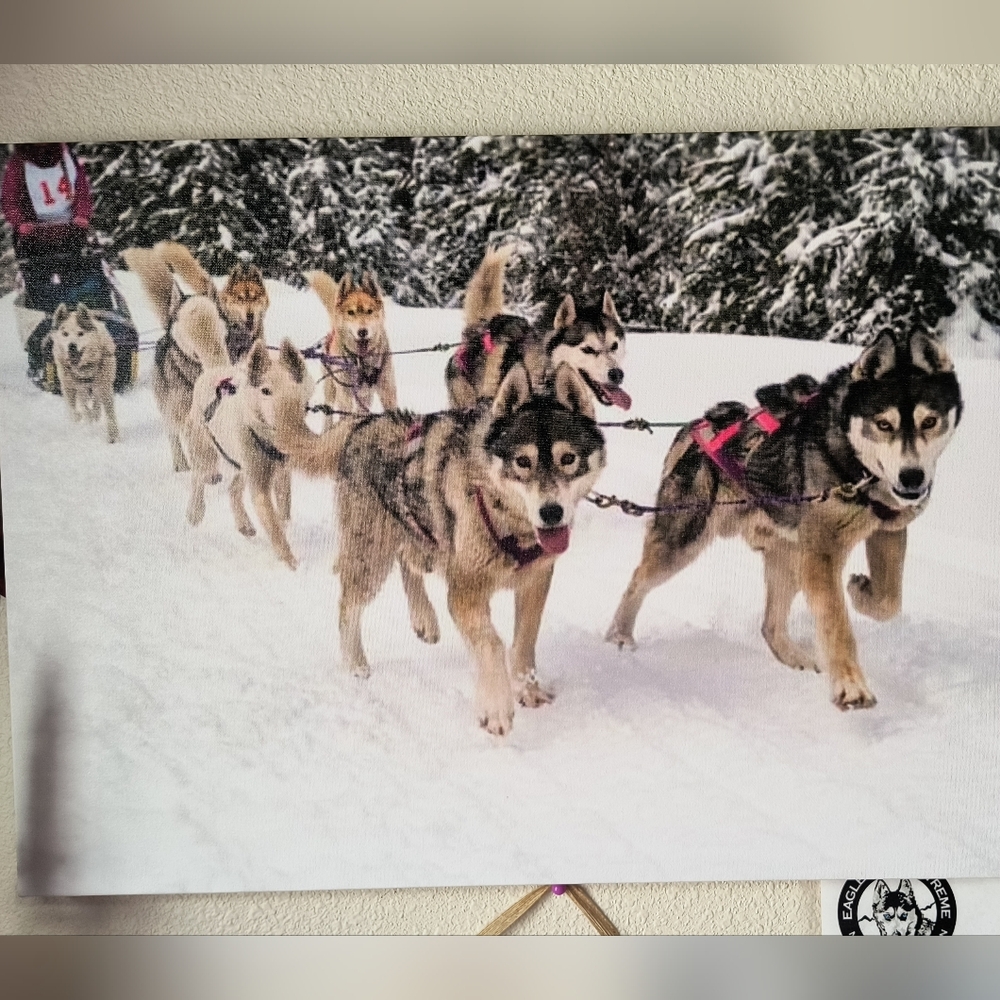 Canvas Wall Decor